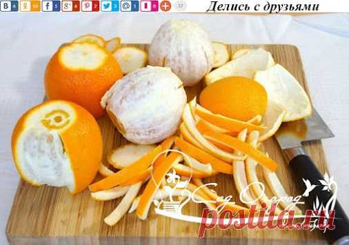 Готовь сани летом, а отходы зимой! Бесполезные отходы нашей жизнедеятельности…