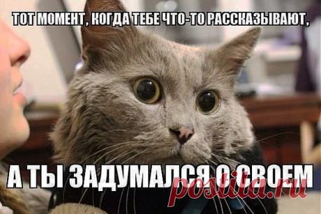 100% Позитива