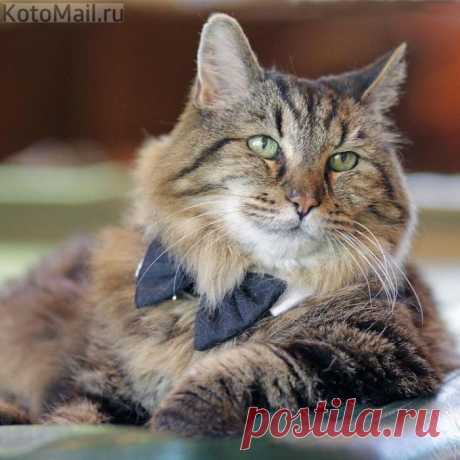 Наедине с мыслями
