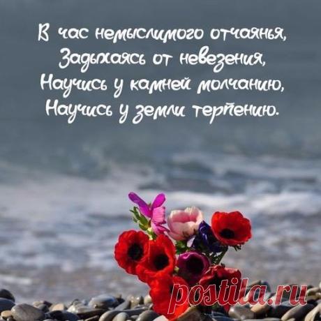 Научись......