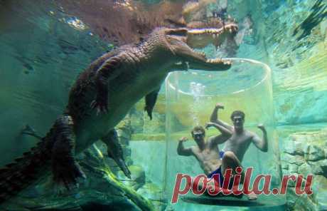 Экстремальный аттракцион в Австралии • НОВОСТИ В ФОТОГРАФИЯХ