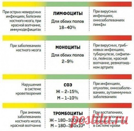 О чем расскажет анализ крови 

Каждый из нас хотя бы раз в жизни сдавал кровь и получал на руки листочек бумаги с буквами, цифрами и единицами измерения. Затем врач, быстренько взглянув на результаты, объявлял: «С вами все нормально», или «Вы больны». Причем сами вы, сколько ни старались и ни пытались забежать вперед и узнать, что с вами случилось, наверняка с трудом понимали, что означают те или иные буквы. На самом деле все не так сложно.