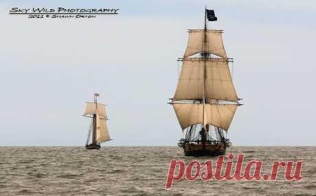 Tall Ships Arrival | Flickr - Photo Sharing!