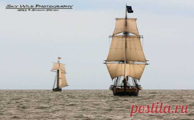Tall Ships Arrival | Flickr - Photo Sharing!