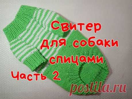 Свитер для собаки спицами, часть 2