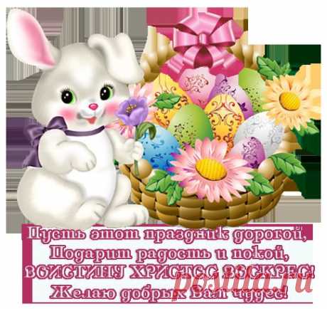 цветы | Записи в рубрике цветы | Дневник Ninasvet