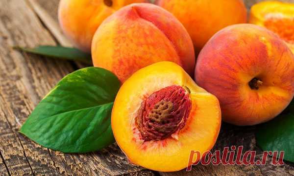 Как вырастить персик из косточки