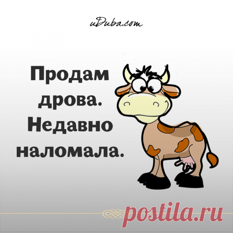 (20) Uduba.com - Худеть не вредно, но печально...