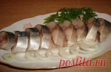 Потрясающая соленая скумбрия. 
Предлагаю самый удачный рецепт солёной скумбрии, от которой все будут в полном восторге. 
Ингредиенты 
Соль – 5 ст.л. без верха 
Сахар – 2 ст.л. 
Чай чёрный без добавок — 3 ст.л. 
Лук – 1 шт. 
Вода – 1 л 
Маринад 
В кастрюлю набираем воду, добавляем соль, сахар, нарезанный лук, чай чёрный. Чая можно взять и больше, всё зависит от его качества. Он, во-первых, цвет рыбе придаёт копчёный, а во-вторых, дубильные вещества делают её плотной и красивой. Маринад кипятим ми