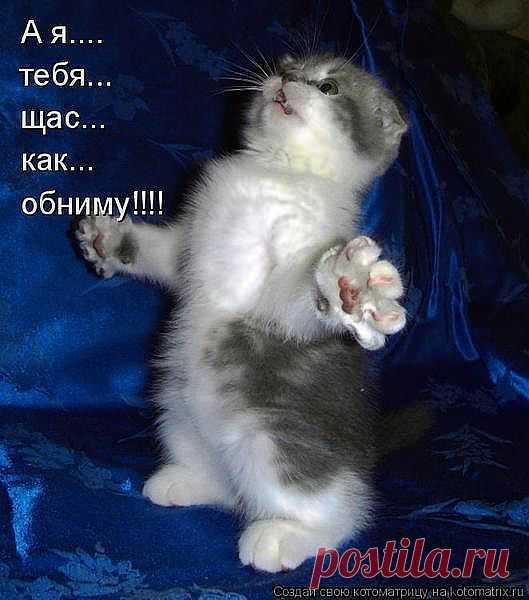 обнимашки