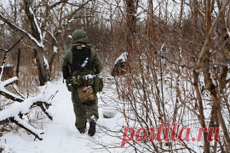 Военный рассказал о значении боев за Авдеевку. Взятие Авдеевки позволит российским силам наступать дальше за пределами Донбасса, считает военный эксперт, доцент кафедры политического анализа и социально-психологических процессов РЭУ имени Плеханова Олег Глазунов. В разговоре с «Лентой.ру» он рассказал о значении боев за этот населенный пункт.