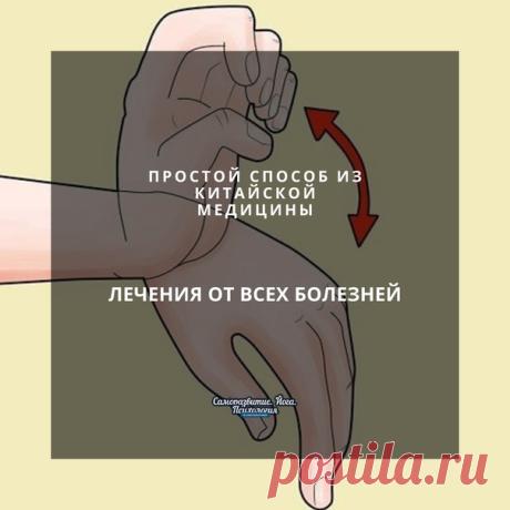 Простой способ из китайской медицины лечения от всех болезней

Почему мы устаем? Потому что мы сидим и не двигаемся!
И когда мы сидим, происходит застой каналов. Китайские врачи говорят, что когда у нас нет проблем с проходимостью меридианов и каналов, то у нас нет проблем с кровообращением и мы чувствуем себя хорошо.

У нас на руках есть шесть каналов.
Большой палец - это канал легких,

Указательный палец - это толстый кишечник,

Средний палец - это канал перикарда,

Безы...