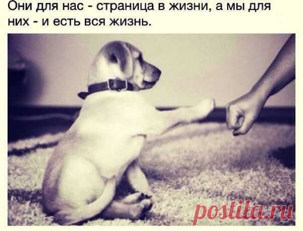 Сильные фразы!!! / Pinme