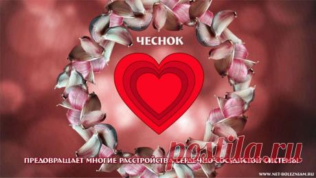 11 аргументов пользы чеснока для здоровья, которые вас удивят

В этом растении содержится очень важное вещество аллиин, которое во время жевания или измельчения, переходит в аллицин.

Аллицин - это химическое вещество, характеризующееся антибиотическими свойствами, но и которое улучшает работу сердца.