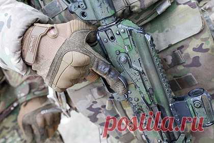 Участников обороны Воронежской области и Анапы признают ветеранами боевых действий