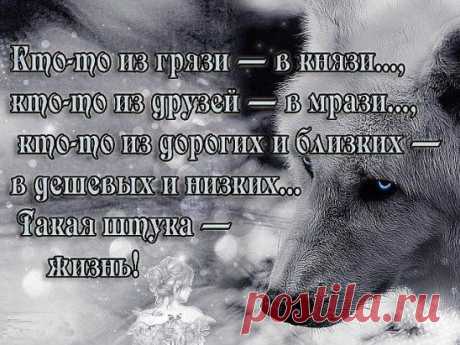 (12) Одноклассники