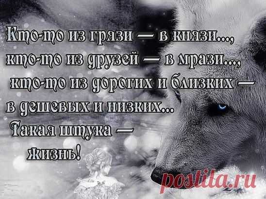 (12) Одноклассники