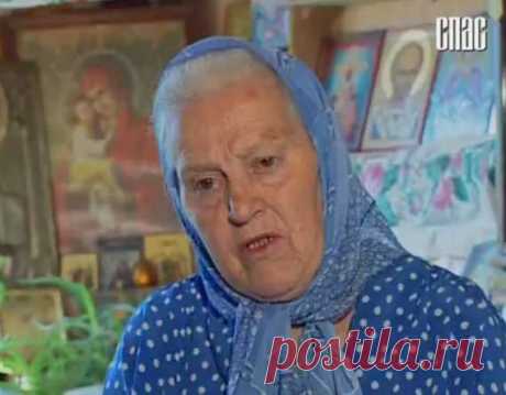 О лечении травами. Травница Елена Зайцева / Блог им. rodovid / Зеленые решения для всей семьи. Green Life