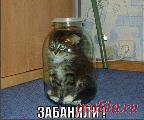 Консервация