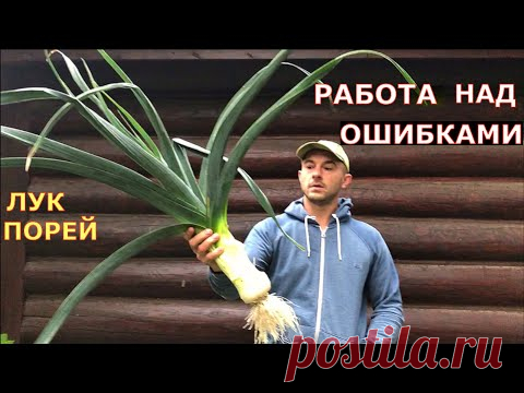 Как вырастить ОГРОМНЫЙ ЛУК ПОРЕЙ ? От семян до урожая в одном видео.