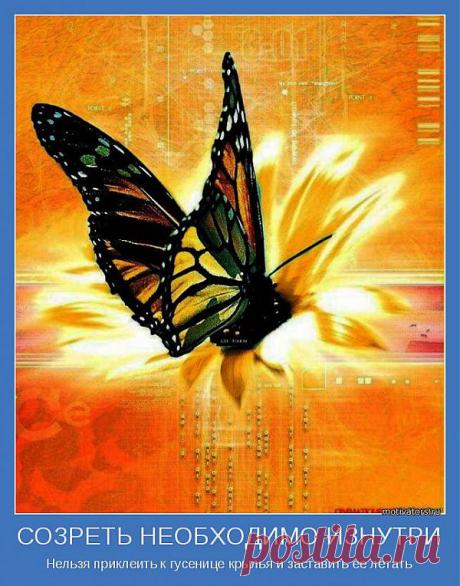 СОЗРЕТЬ НЕОБХОДИМО ИЗНУТРИ