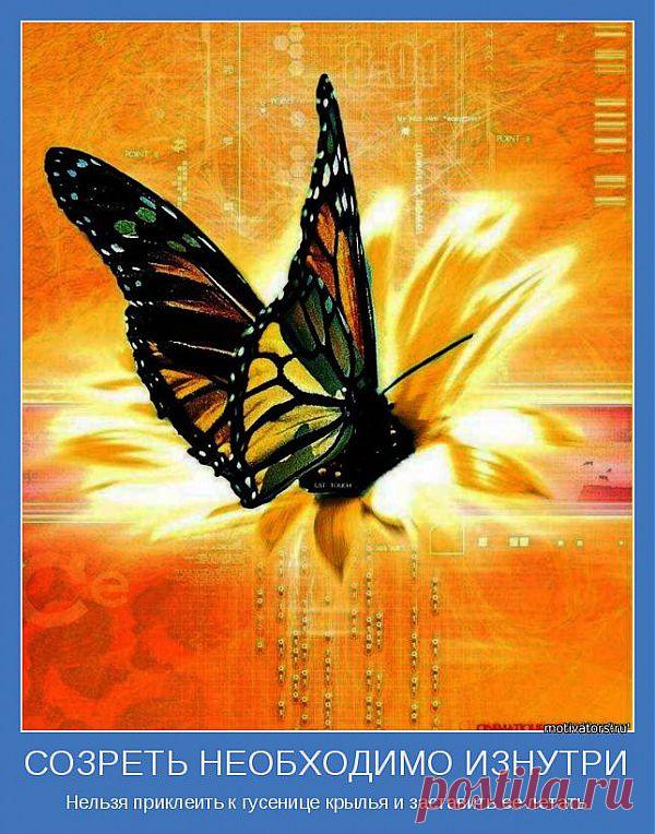 СОЗРЕТЬ НЕОБХОДИМО ИЗНУТРИ