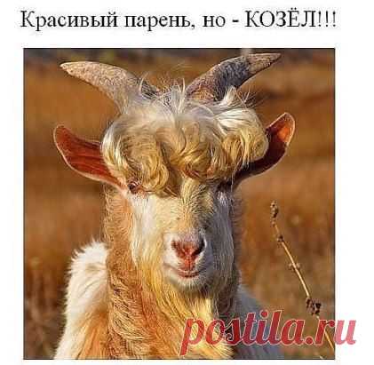 Влюбиться можно в красоту, но полюбить - лишь только душу!