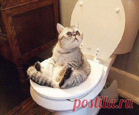 Мой Мир@Mail.Ru