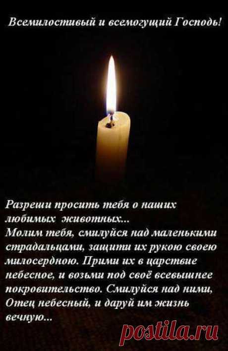 (16) Petrosyan Viktoriya добавила новое фото. - Petrosyan Viktoriya