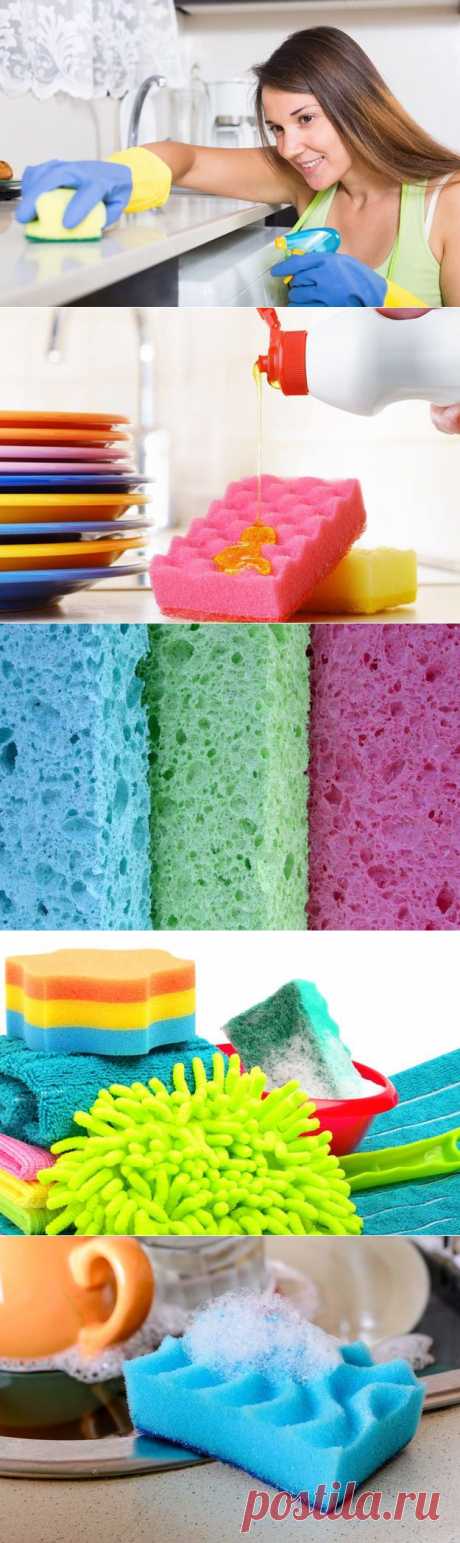 Десять неожиданных способов, как использовать кухонную губку