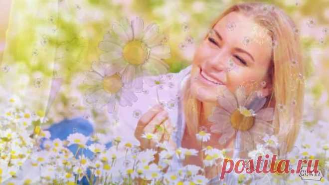 Лена Василек и Белый день - Ромашка