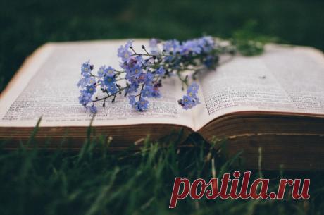 « я взял книгу и пошел в сад. был теплый весенний день, светило солнце, и я вскарабкался по веревочной лестнице на нижнюю ветку большого бука, устроился там и стал читать. с книжкой мне было все нипочем... »
neil gaiman, the ocean at the end of the lane