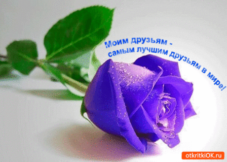 Моим самым лучшим друзьям