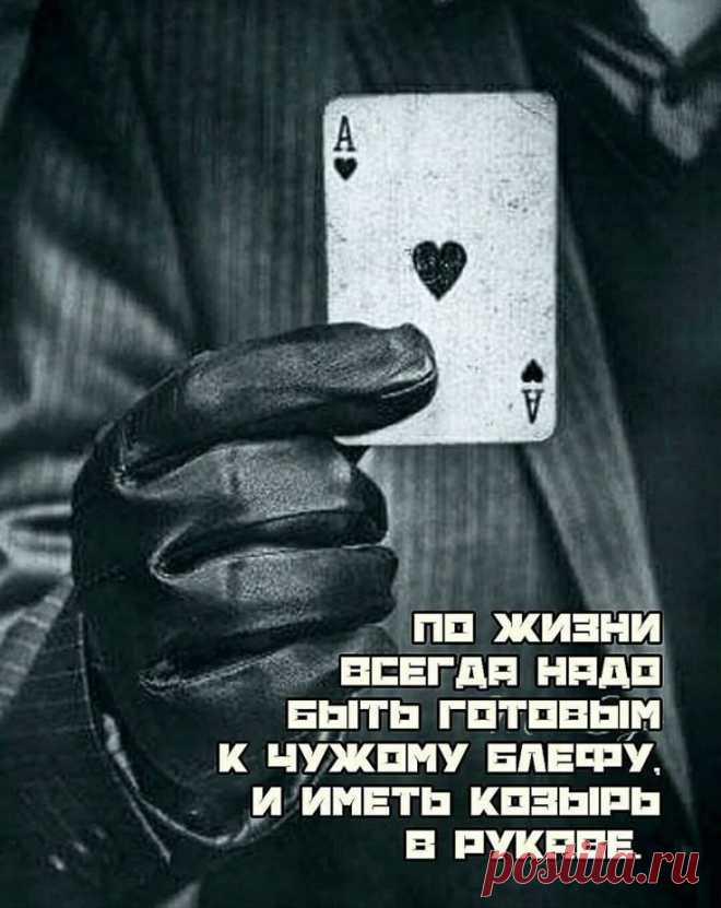 Пин на доске Цитаты