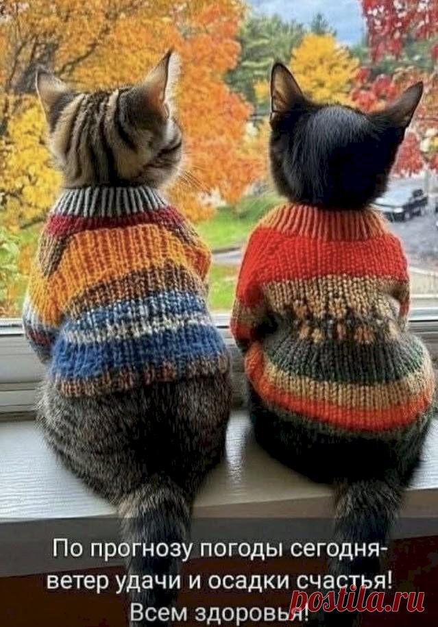 81f334bc.jpg (639×915)