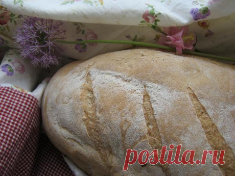 Хмелевая закваска по старинному рецепту Сербский хлеб на хмелевой закваске