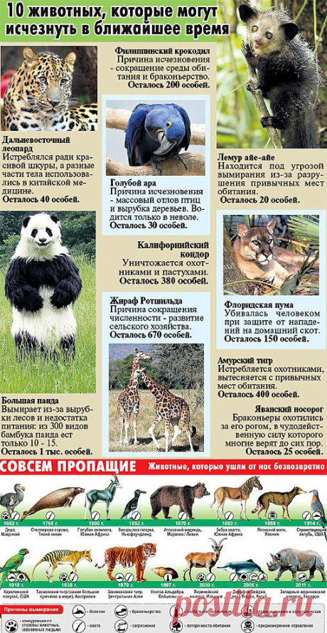 Остаться в живых // Экспресс газета