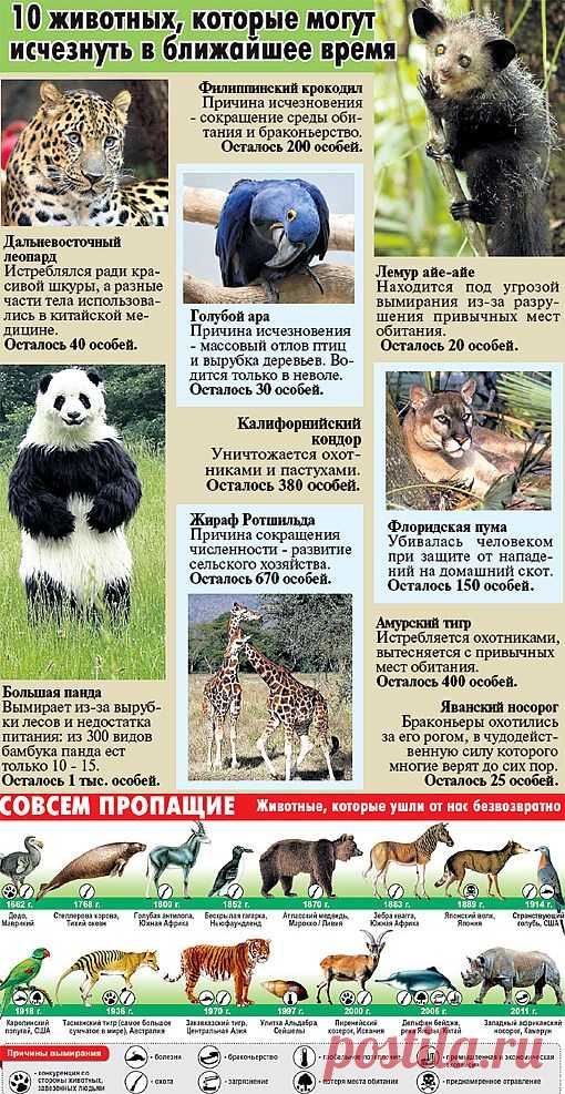 Остаться в живых // Экспресс газета