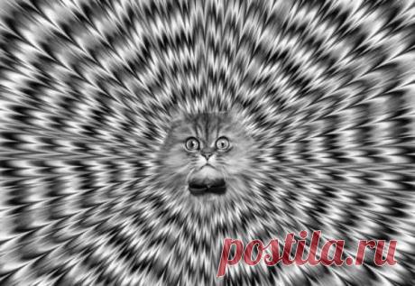 Добавь на стену и посмотри что получится.