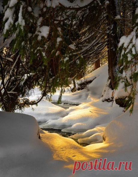 (1) Tumblr