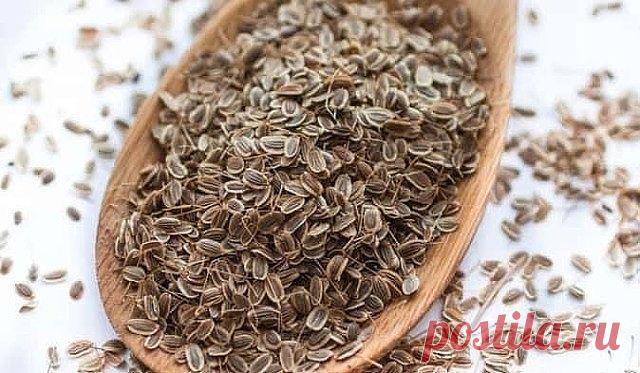 Чтобы забыть о давлении нужно взять горсть семян укропа. Через неделю будете здоровы!

Высокое давление придет в норму, исчезнут запоры, боли в желудке и мочевом пузыре, пройдет недержание мочи и кала, если в заварочный чайник насыпать столовую ложку с горкой семян укропа и залить их пол-литрами кипятка. Накрыть чайничек салфеткой или укутать полотенцем на 40 минут, чтобы семена хорошо запарились и отдали все ценные вещества в воду.
Полученное лекарство нужно пить прямо из...