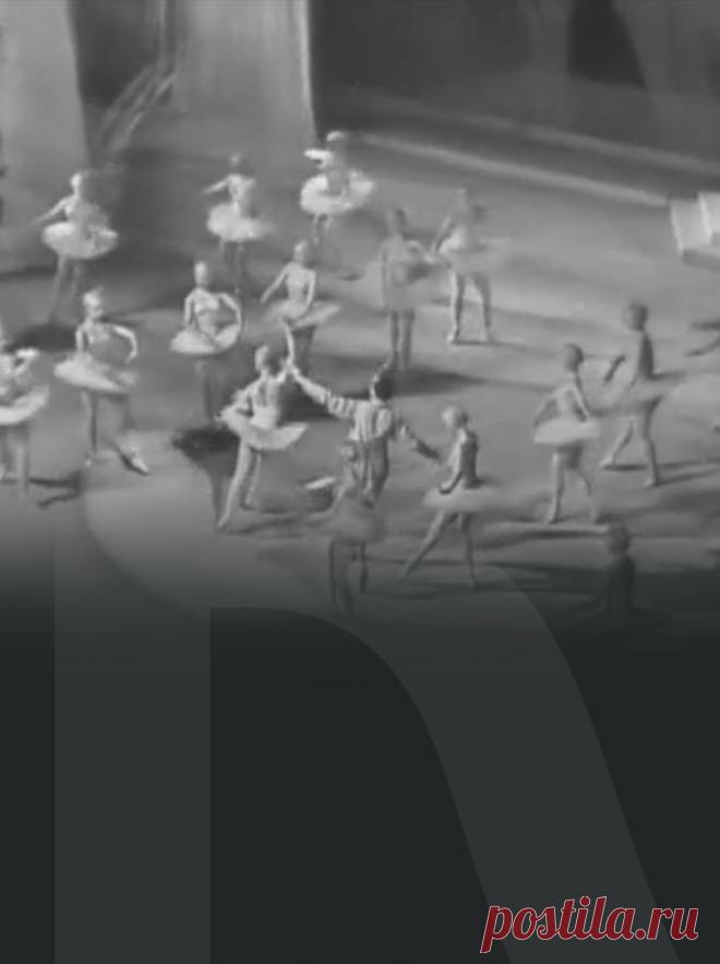 Спектакль Спящая красавица — смотреть бесплатно онлайн в хорошем качестве. Государственный академический Большой театр России (Историческая сцена). Актеры и роли Смотреть спектакль Спящая красавица: бесплатно онлайн, без регистрации в хорошем качестве на портале Культура.РФ