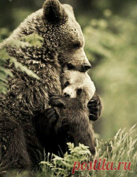 Вам и не снилось...
W G