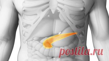 Если болит поджелудочная, 4 народных рецепта излечат панкреатит — Journal women❜s