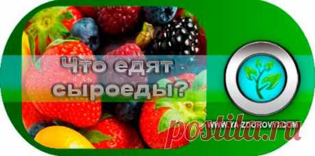 Что едят сыроеды или меню сыроеда | Я здоровый