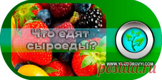 Что едят сыроеды или меню сыроеда | Я здоровый