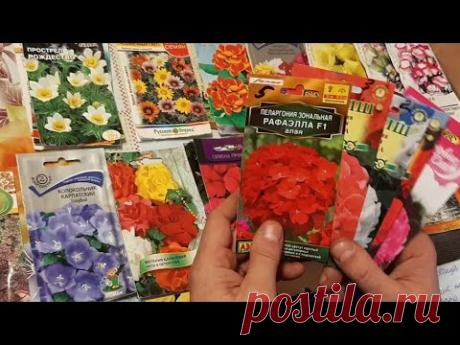 СРОЧНО ПОСЕЙТЕ ЭТИ ЦВЕТЫ В ДЕКАБРЕ всегда выращиваю эти шикарные цветы для сада