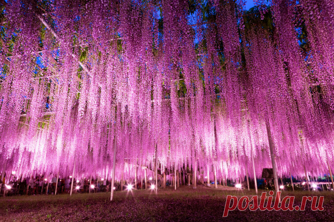 Самые красочные места на планете (часть 5) Самые яркие и красивые места на нашей планете мы обнаружили в Японии, Китае, Голландии и на Филиппинах …