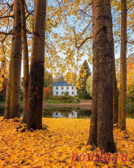 The Autumn In Finland