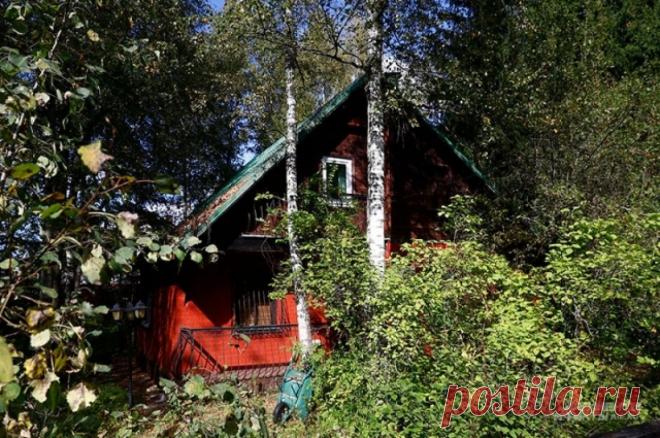 Внучка Людмилы Гурченко объяснила, почему продает дачу актрисы. Объект в Подмосковье планируют выставить на продажу за 16 млн рублей.